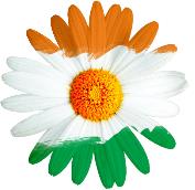 India Real Estate Directory